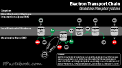 electronTransportChain.png